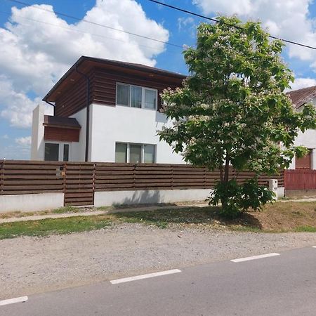 Vila Onix Săcueni Exterior foto