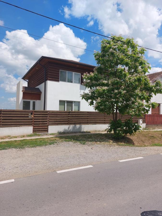 Vila Onix Săcueni Exterior foto