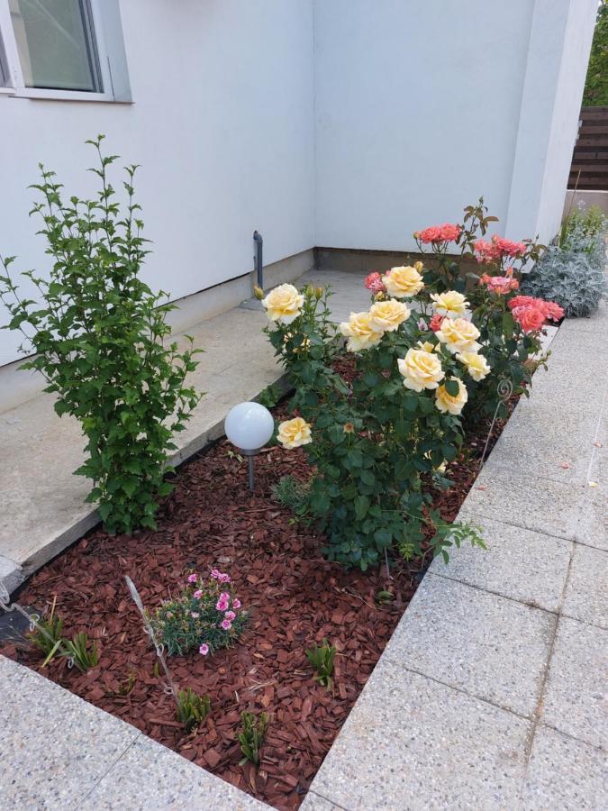 Vila Onix Săcueni Exterior foto