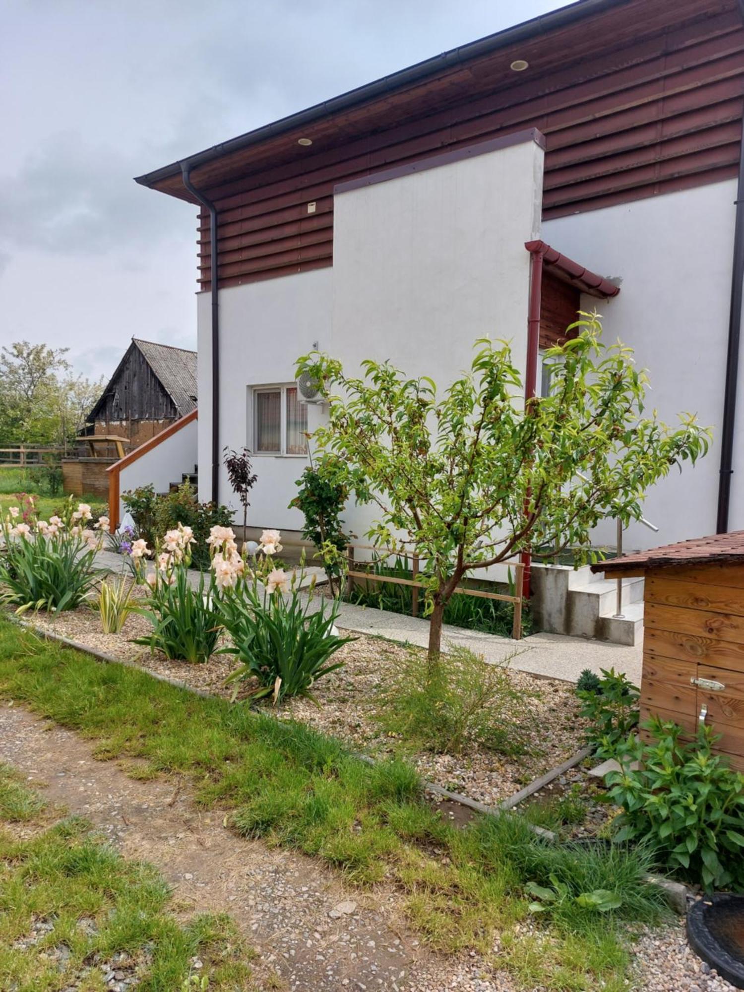 Vila Onix Săcueni Exterior foto